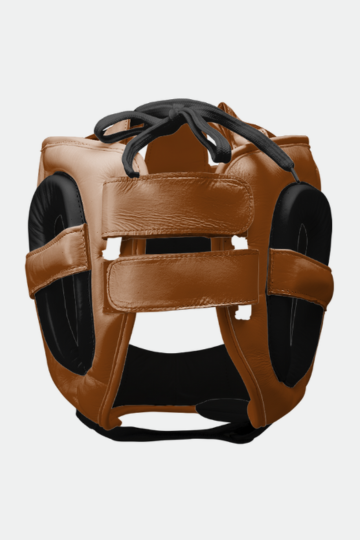 Custom Evolution Face Shield